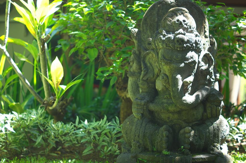 Indo Rumah Zengarden Pabean Buleleng Pokój zdjęcie