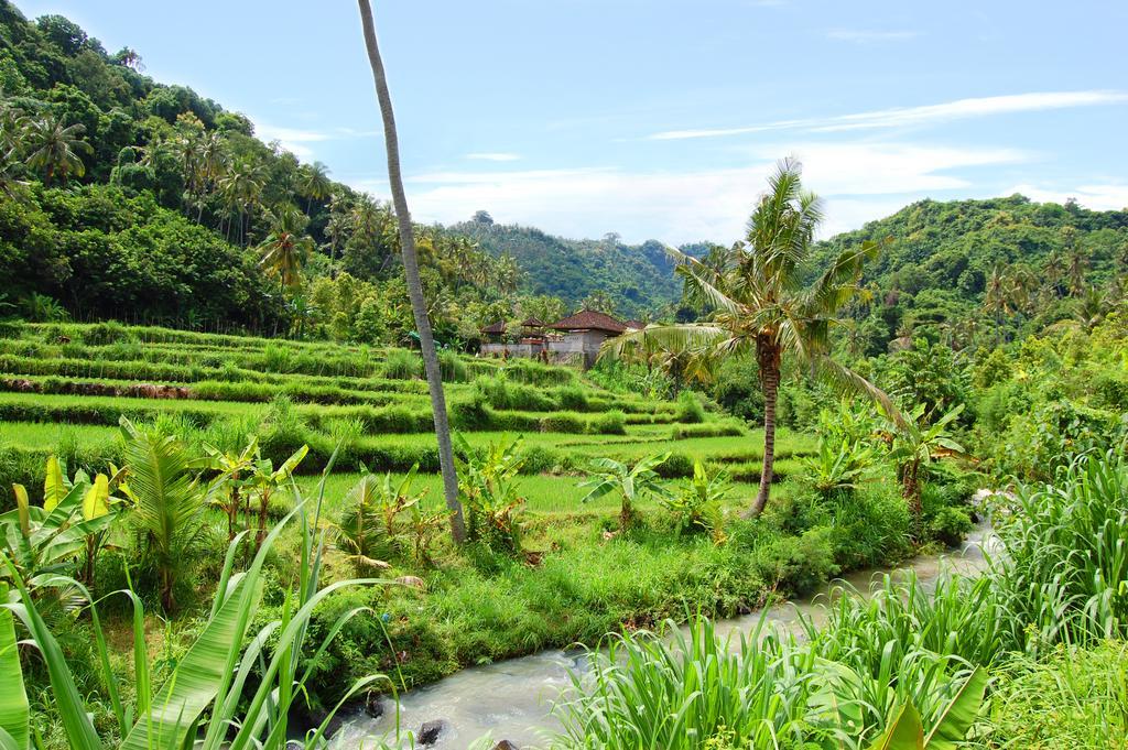 Indo Rumah Zengarden Pabean Buleleng Zewnętrze zdjęcie