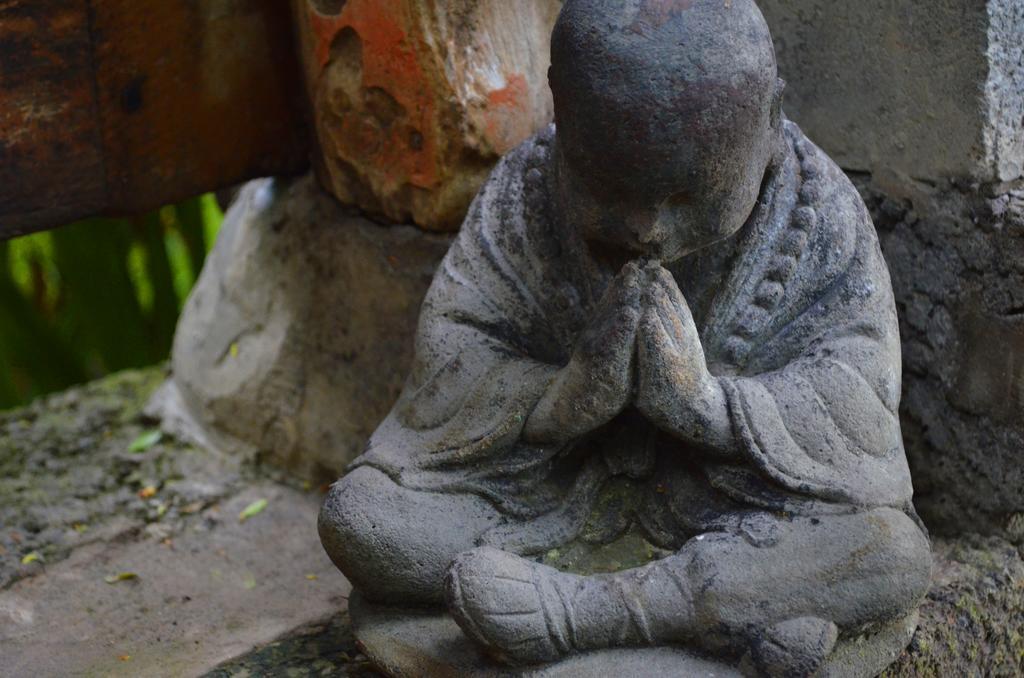 Indo Rumah Zengarden Pabean Buleleng Zewnętrze zdjęcie