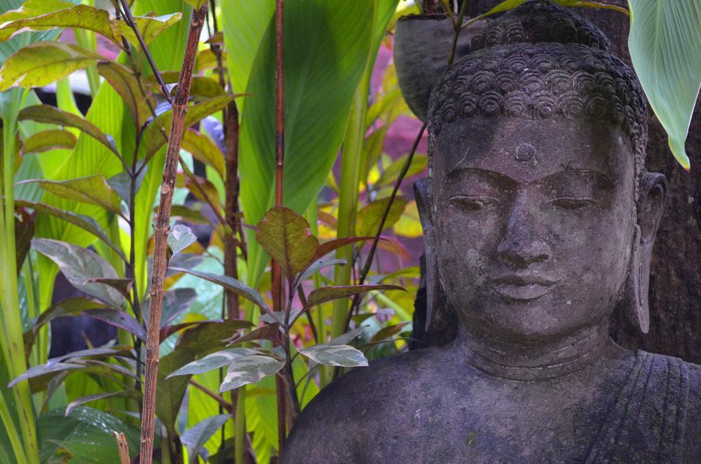 Indo Rumah Zengarden Pabean Buleleng Zewnętrze zdjęcie