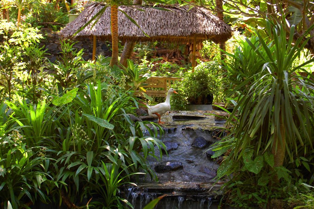 Indo Rumah Zengarden Pabean Buleleng Zewnętrze zdjęcie